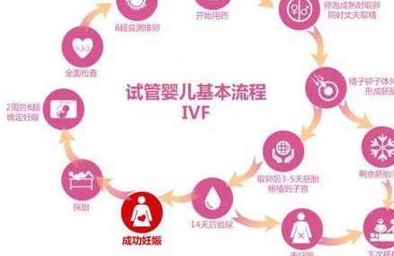 胚胎移植后腹泻怎么办？专家推荐3步快速恢复法！