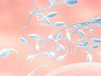 广东三代试管婴儿适合哪些患者？