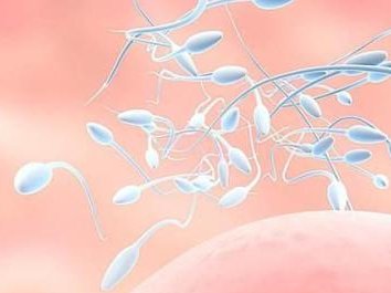 珠海地区有哪些私立的机构可以做试管技术？lh黄体激素偏高影响试管促排卵反而失败？